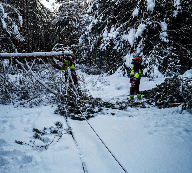 Atak zimy w Elblągu