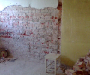 Zdjęcie 7464