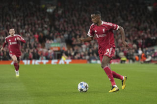 W marcu może walczyć z Polakami o mundial. Teraz kupił psa za 150 tys. zł