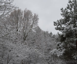 Zima Starachowice 29.11.2020