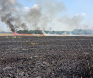 Pożar w Narwiańskim Parku Narodowym. W akcji Dromader
