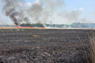 Pożar w Narwiańskim Parku Narodowym. W akcji samolot Dromader