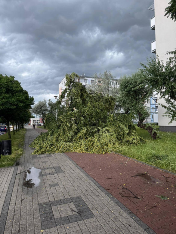 Powalone drzewa, zalania, wstrzymany ruch tramwajów: dramatyczny bilans orkanu nad Śląskiem
