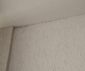 Wydział Filologiczny Uniwersytetu Łódzkiego po niespełna dwóch latach się sypie