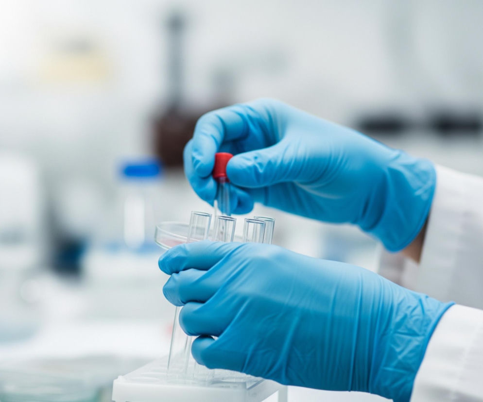 Dwie ręce w jasnoniebieskich rękawiczkach laboratoryjnych operują probówkami i płytką Petriego w laboratoryjnym otoczeniu. Prawa ręka, ułożona bardziej z przodu, trzyma przezroczystą płytkę Petriego zawierającą różowawy płyn, umieszczoną na rzędzie probówek w białym stojaku. Lewa ręka, znajdująca się nieco wyżej i dalej, trzyma pojedynczą probówkę z czerwoną nakrętką, wprowadzając ją do jednej z probówek w stojaku. Tło jest rozmyte, dominują jasne, szare i białe odcienie, z niewyraźnymi zarysami butelek i sprzętu laboratoryjnego.