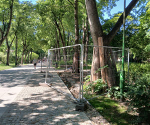 Przebudowa parku Planty w Białymstoku