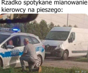 Święto Policji wypada 24 lipca. Mundurowi odbiorą życzenia, a internet już szykuje swoje memy