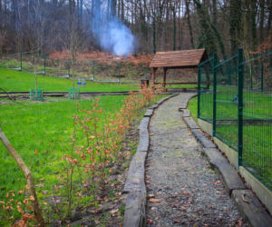 Nowy wybieg dla psów na Szmaragdowym