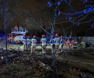 Powalone drzewa i awarie prądu w części województwa