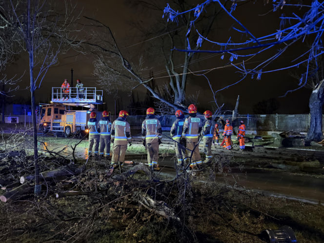 Powalone drzewa i awarie prądu w części województwa