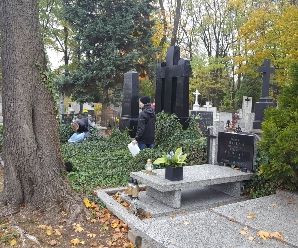 Sprzątanie cmentarza przy Ogrodowej w Łodzi