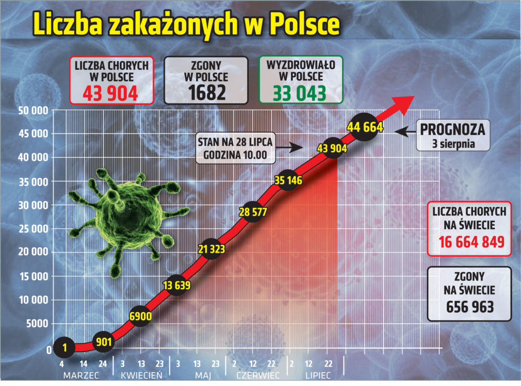 Koronawirus w Polsce. Wykresy, grafiki, statystyki - 28 lipca
