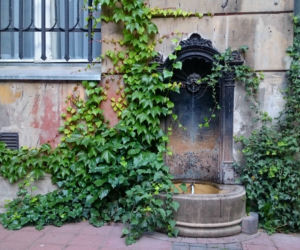 4. Takie miejsca kryją się w łódzkich bramach