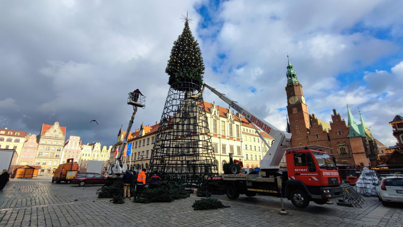 Na rynku we Wrocławiu stawiają 24-metrową choinkę. Będzie inna od poprzedniej 