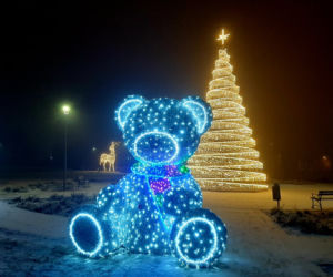 Ze szronem są jeszcze piękniejsze! Świąteczne iluminacje w Łomży