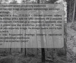 We wtorek, 27 października, na drodze krajowej nr 20 w gminie Kościerzyna doszło do zderzenia trzech pojazdów