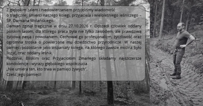 We wtorek, 27 października, na drodze krajowej nr 20 w gminie Kościerzyna doszło do zderzenia trzech pojazdów