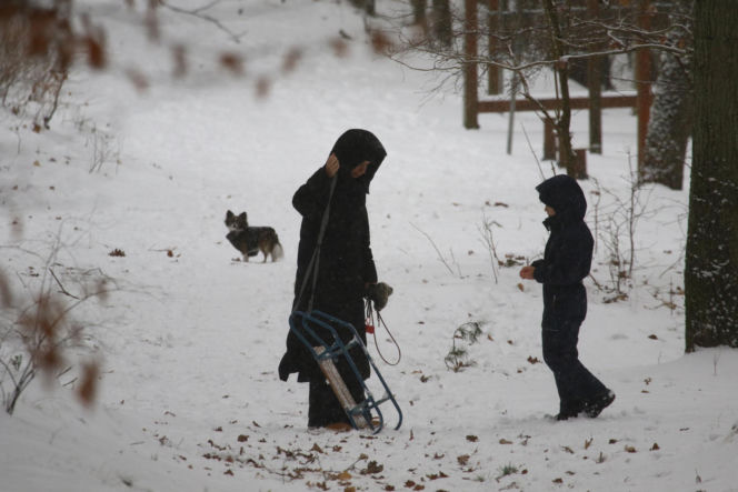 Marta Kaczyńska z synem i psami na sankach w lesie