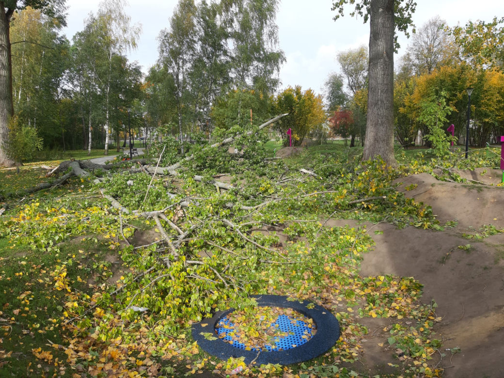 Strażacy (i piły) na pełnych obrotach