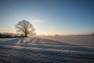 Czwartek zaskoczy! Czy Nowy Tomyśl uniknie mrozu 4.12.2025?