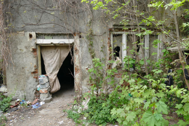 Michała jest inwalidą, bo kolega skatował go nożycami i łopatą. „Mam dziurę w czaszce”