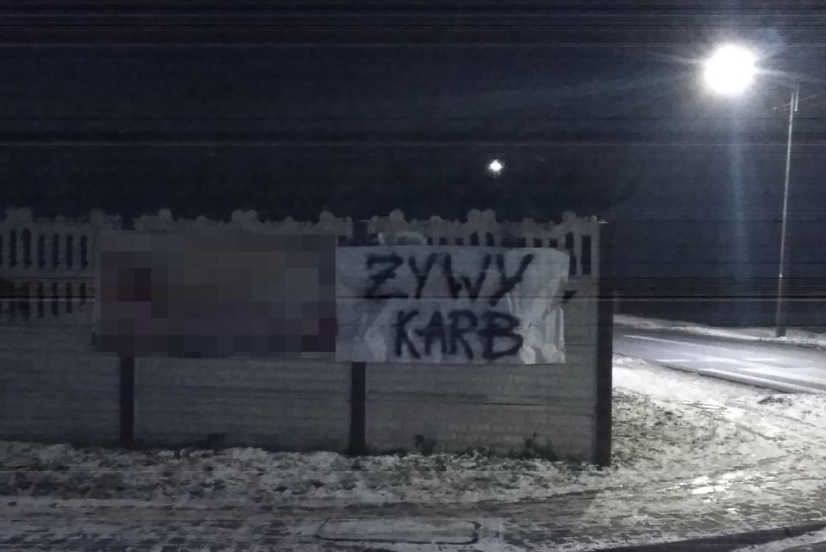 Nowy gatunek ryby na Wigilię 2021?! "Żywy karb" w Gostyninie [ZDJĘCIA]