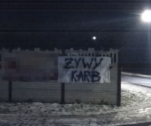 Nowy gatunek ryby na Wigilię 2021?! Żywy karb w Gostyninie [ZDJĘCIA]