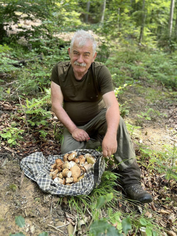 Bieszczady zasypane grzybami