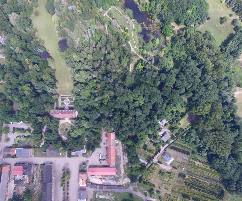 Ogród Dendrologiczny w Przelewicach