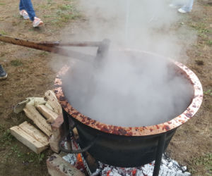 Święto Śliwki 2019 