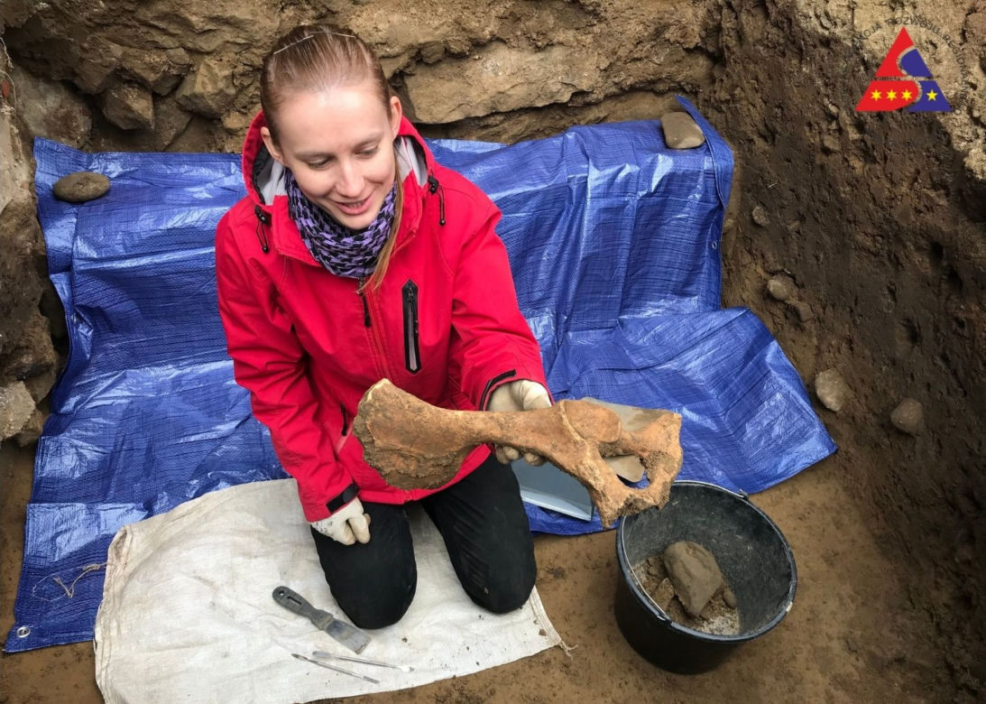 Prace archeologiczne na ruinach zamku w Nowym Sączu