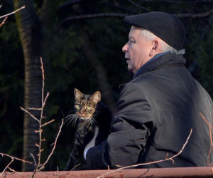 Jarosław Kaczyński