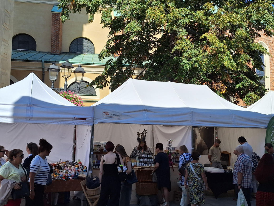 Festiwal Karpaty na Widelcu w Rzeszowie