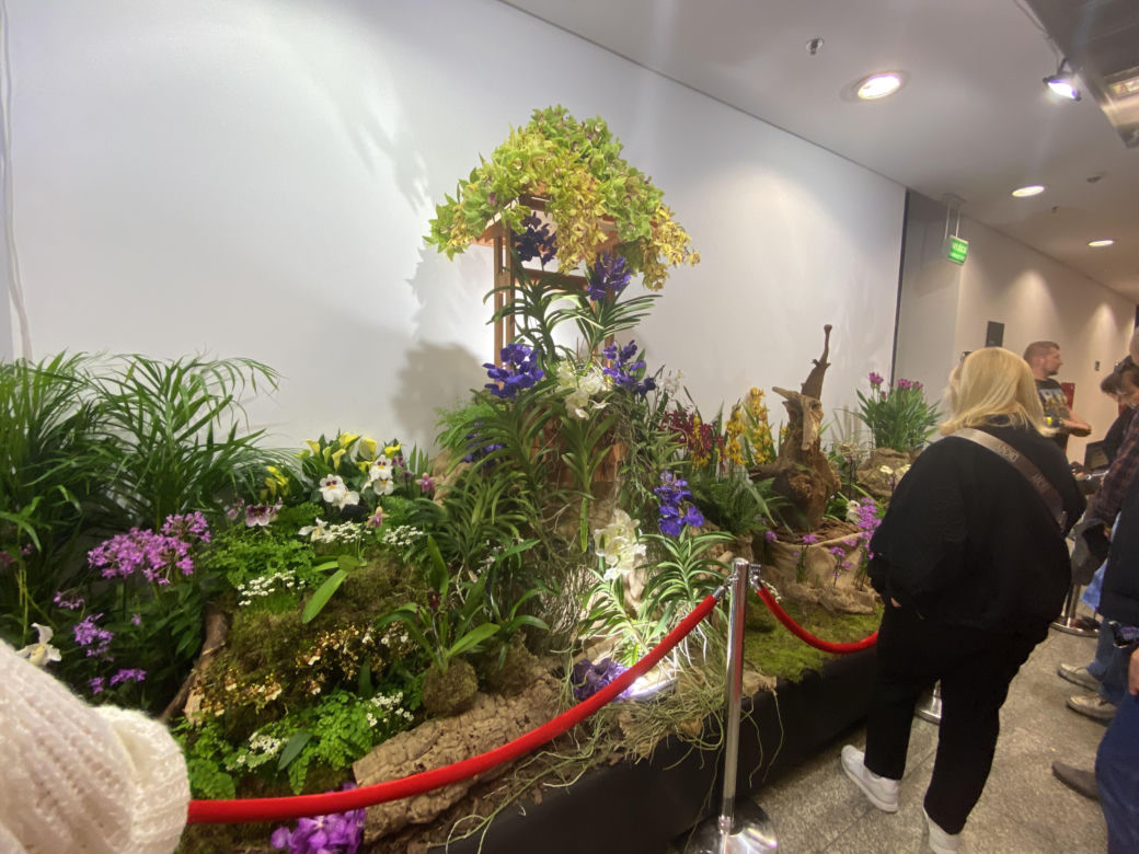"Potworne Cuda", Światowa Wystawa Orchidei, Bonsai i Sukulentów oraz targi roślin na PGE Narodowym