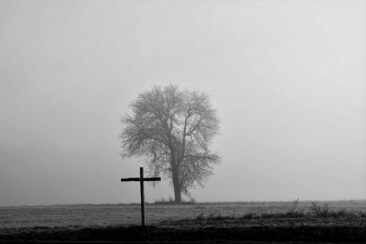 Fotografie Ewa Łuczywo Nowak