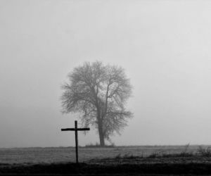 Fotografie Ewa Łuczywo Nowak