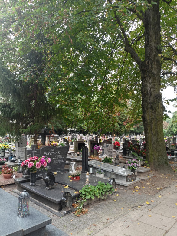 Ceny zniczy i wiązanek. Cmentarz Winiarski - Piątkowo Poznań