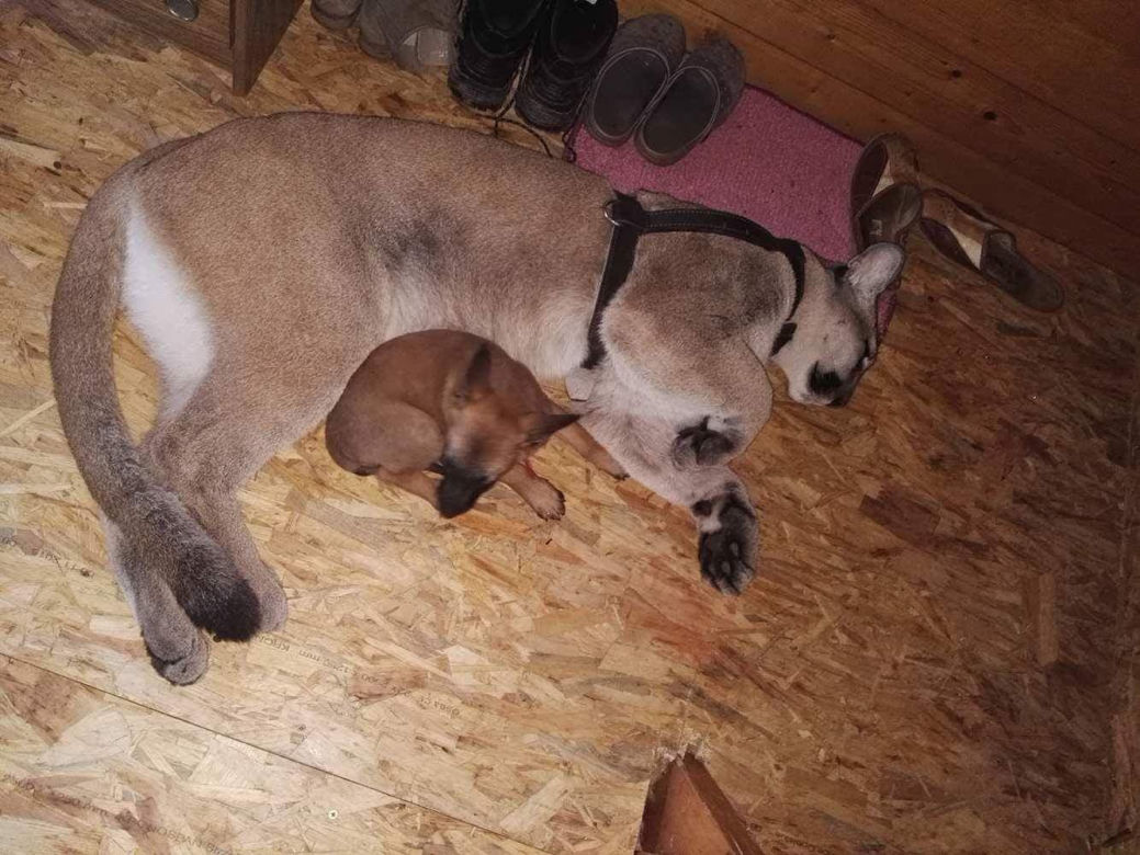 Wcześniej mieszkała z panem Kamilem