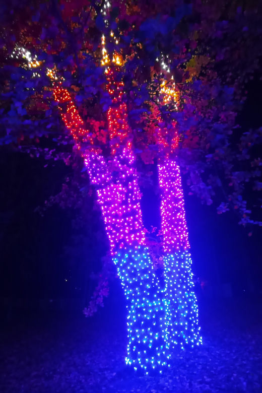 Garden of Lights w Szczecinie