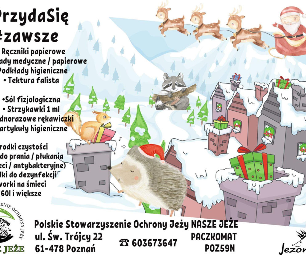 Wiewiórki i jeże