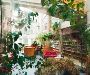 Centralna Biblioteka Polsko-Niemiecka , Opole