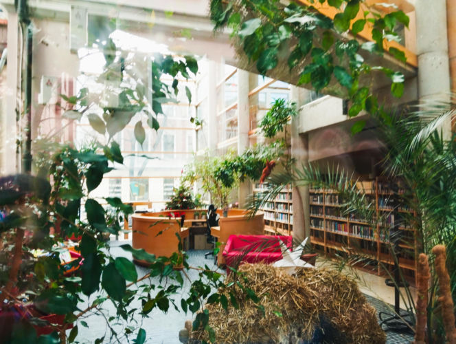 Centralna Biblioteka Polsko-Niemiecka , Opole