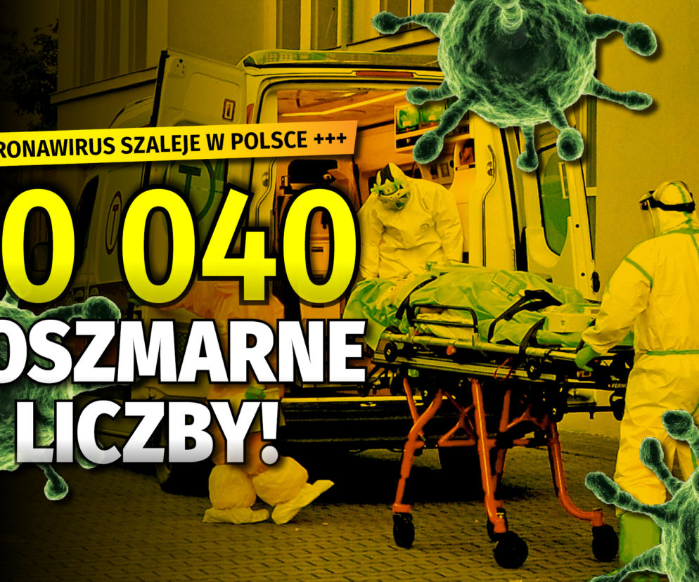 REKORD LICZBA DNIA