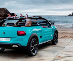 Citroen Cactus M