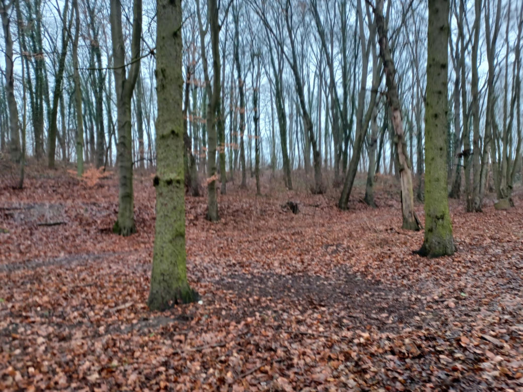 Park Zacisze