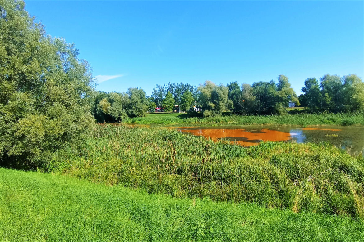 Zanieczyszczone Jezioro Słoneczne
