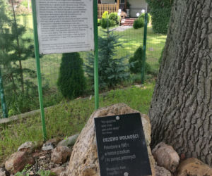 To jedno z najpiękniejszych miast na Śląsku. Czaruje jedynym takim pałacem myśliwskim w Polsce