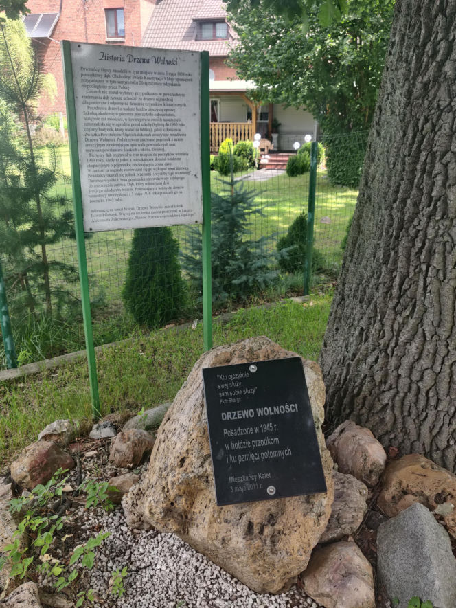 To jedno z najpiękniejszych miast na Śląsku. Czaruje jedynym takim pałacem myśliwskim w Polsce