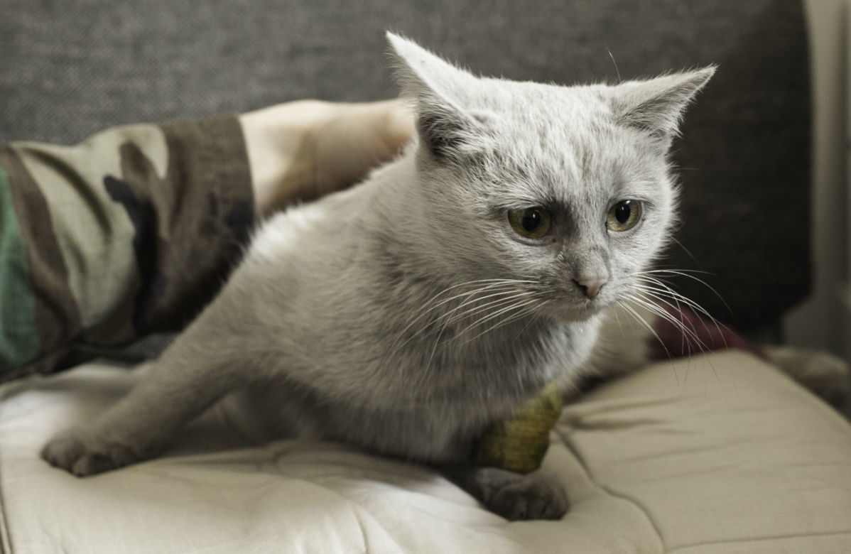 GRZMOTKA URATOWANA Z WNYKÓW