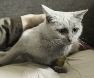 GRZMOTKA URATOWANA Z WNYKÓW